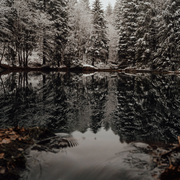 Winterse Harmonie en Reflectie