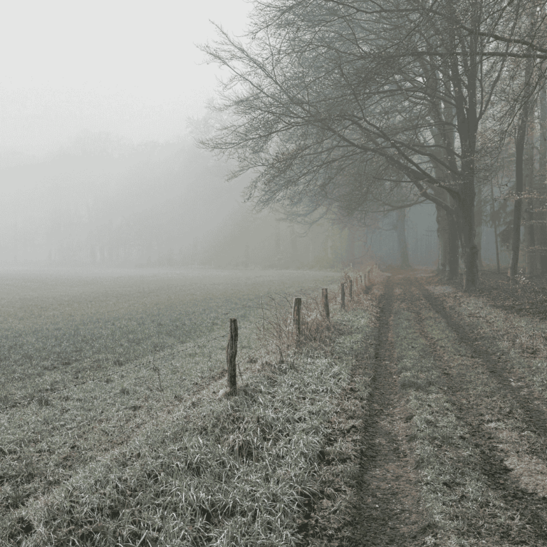 Winter en het element Water