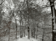winterenergie