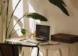 Time Management vs Energie Management